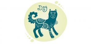 Собака - Восточный гороскоп на 2018 год Желтой Земляной Собаки