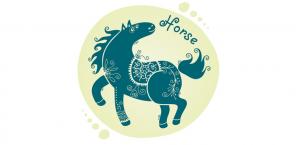 Лошадь - Восточный гороскоп на 2018 год Желтой Земляной Собаки