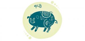 Кабан - Восточный гороскоп на 2018 год Желтой Земляной Собаки