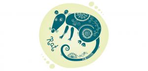 Восточный гороскоп на 2018 год Желтой Земляной Собаки для Крысы