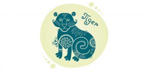 Тигр - Восточный гороскоп на 2018 год Желтой Земляной Собаки